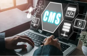 CMS Development