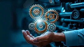 SAP Customization and Development