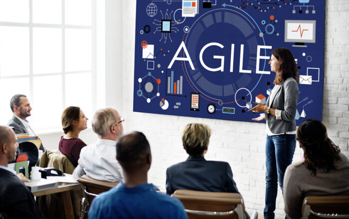 Agile model